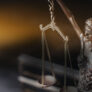 Advocate in Kochi providing expert legal counsel.